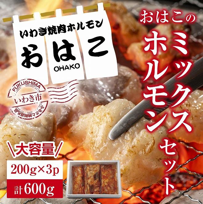 yVNzēzēX肨͂@{izŁI@~bNXzZbg600gI킫s13000ؓ