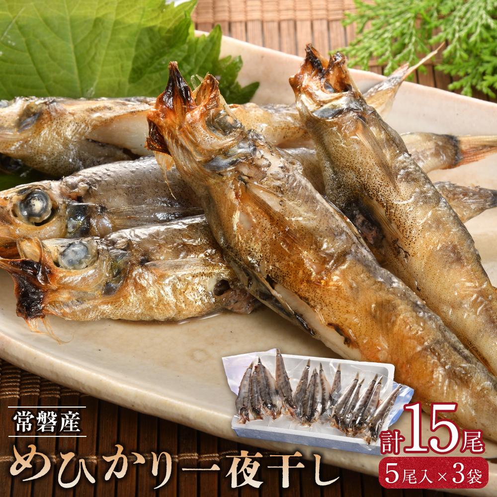 常磐産めひかり一夜干し 15尾福島県いわき市13000魚介・海産物干物