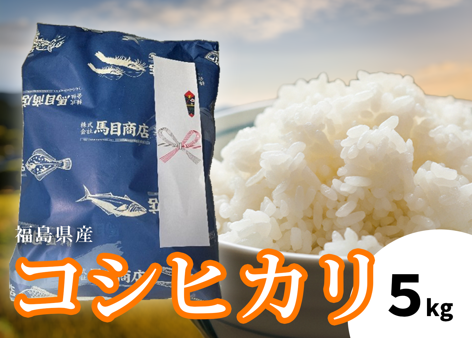 令和7年産 新米 福島県産コシヒカリ 5kg | 福島県産 コシヒカリ 新米 令和7年産 順次発送 白米 単一原料米 粒揃い 甘み もちもち ふっくら つややか ごはん ギフト 精米 | BF038福島県いわき市170