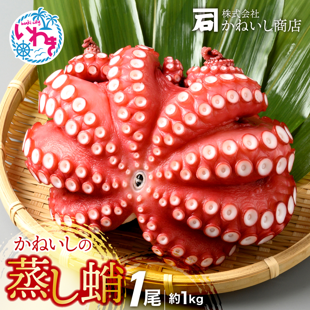 かねいしの蒸し蛸1尾【約1kg】 BU001-1kg-r7福島県いわき市16000魚介・海産物イカ・タコ・ウニ
