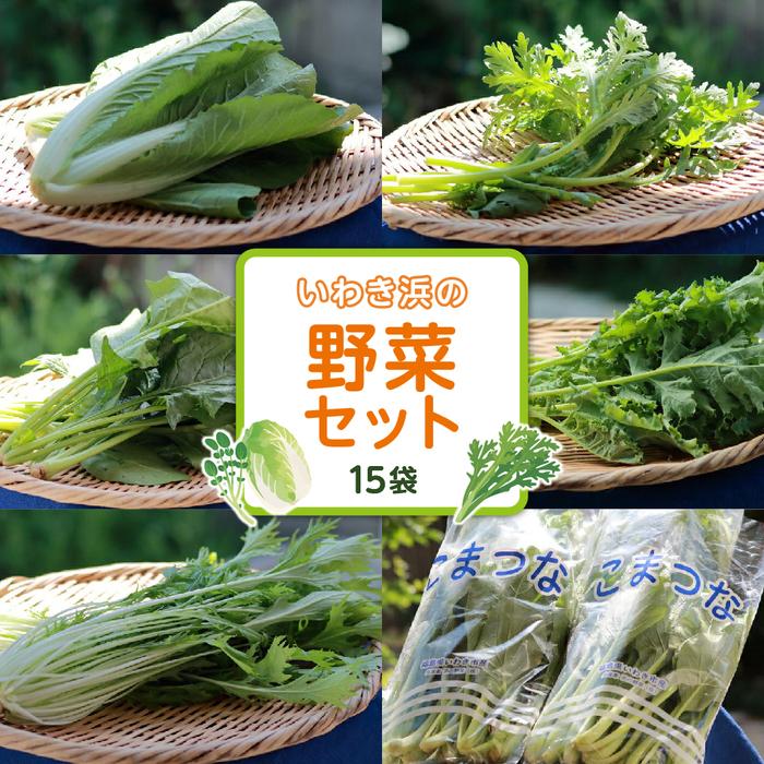 いわき浜の野菜セット(いわき市産の野菜詰め合わせセット)福島県いわき市12000野菜・きのこその他 野菜