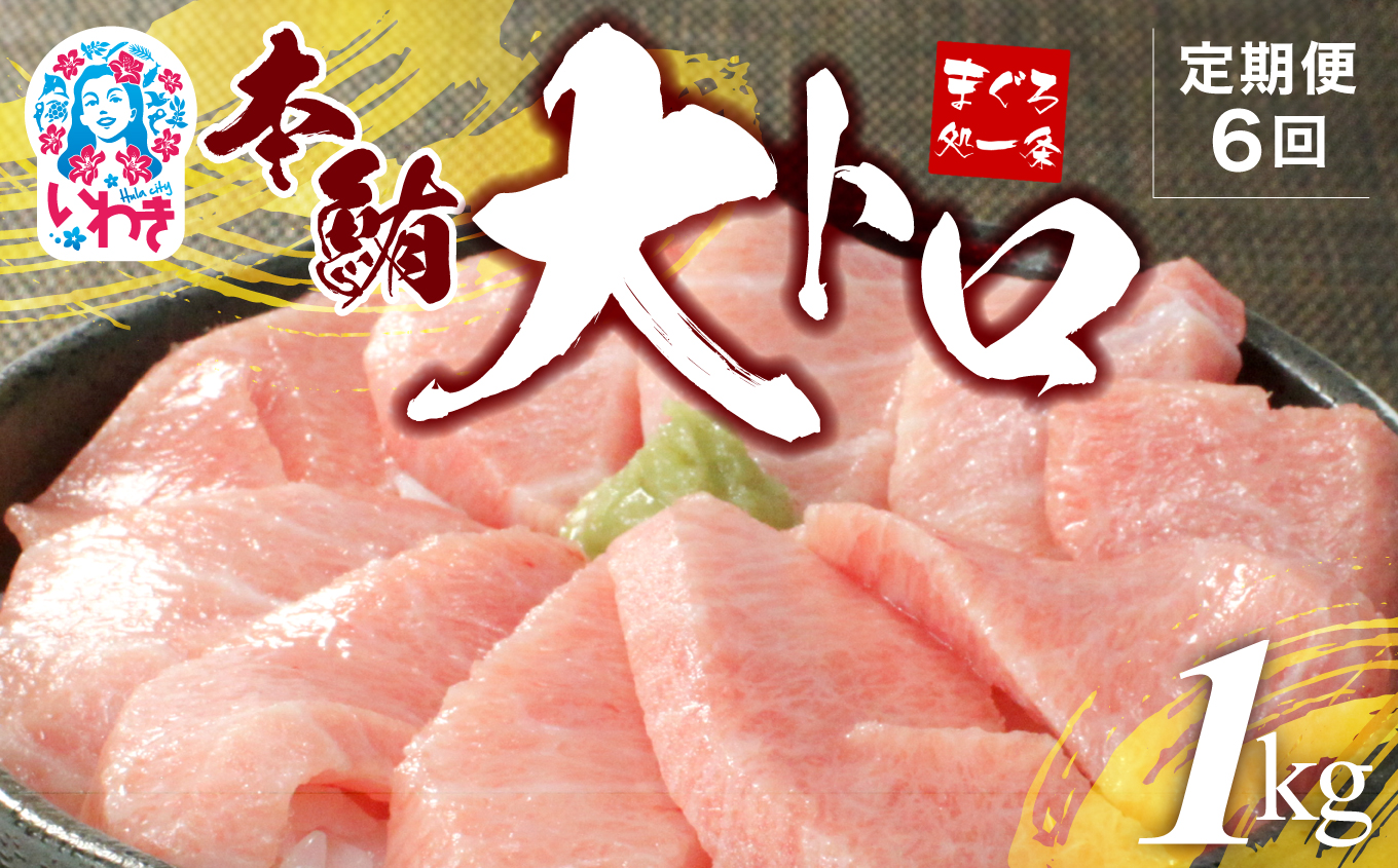 【定期便/計6回】本マグロ大トロずっしり1kg(計6kg)【DG004-t6】|いわき市 ふるさと納税 株式会社東日本貿易 鮪 本鮪 本まぐろ マグロ 大トロ 大とろ トロ とろ 刺し身 さしみ さかな 海鮮 寿