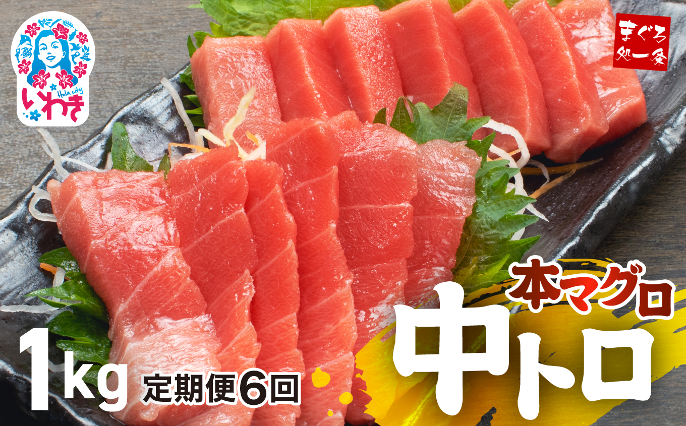 【定期便/計6回】本マグロ中トロ1kg(計6kg)【DG006-t6】|いわき市 ふるさと納税 株式会社東日本貿易 鮪 本鮪 本まぐろ マグロ トロ とろ 刺し身 さしみ さかな 海鮮 寿司 解凍レシピ付福島県