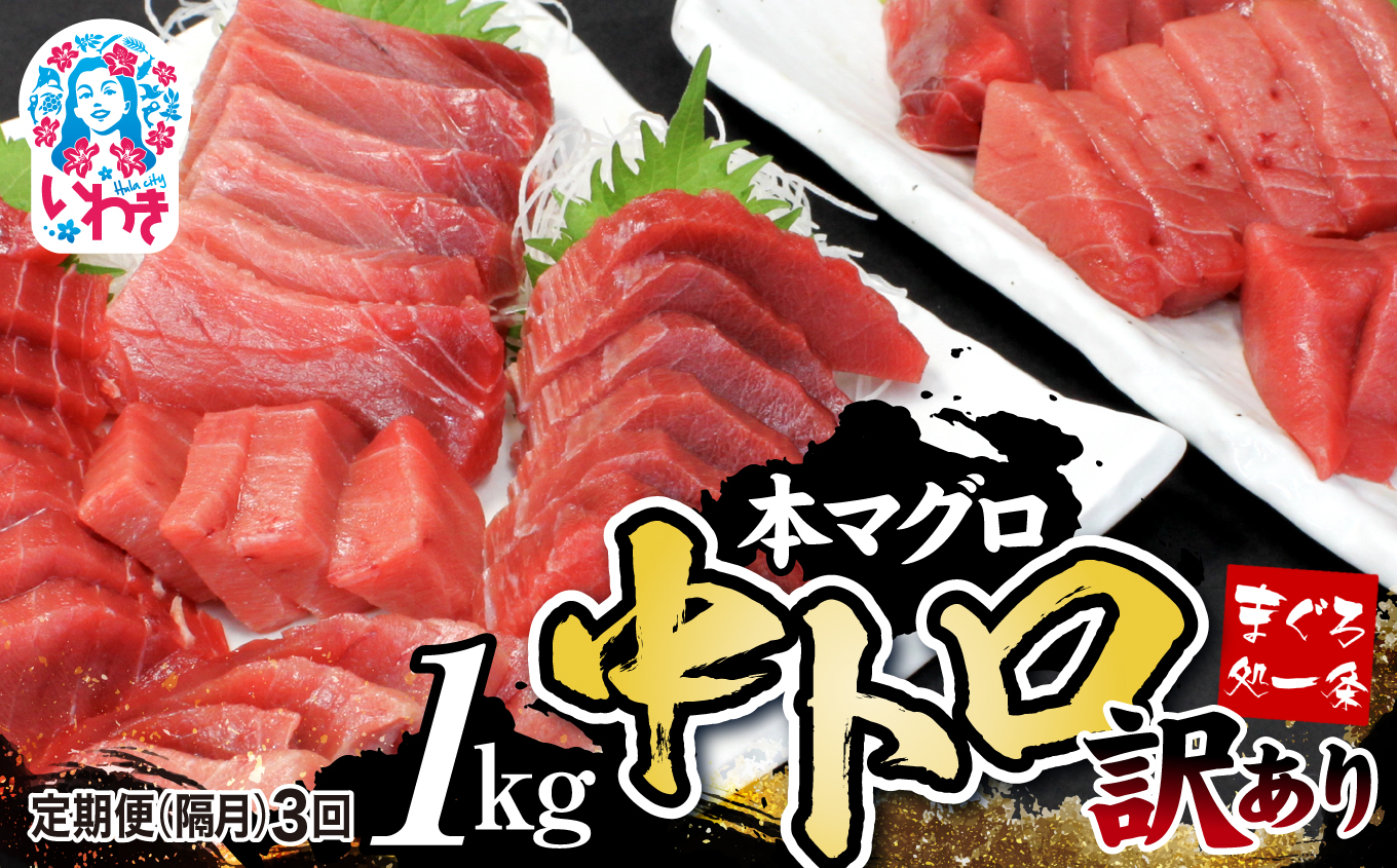 【定期便/隔月/計3回】本マグロ訳あり中トロ1kg(計3kg)【DG007-tk3】|いわき市 ふるさと納税 株式会社東日本貿易 鮪 本鮪 本まぐろ マグロ トロ とろ 刺し身 さしみ さかな 海鮮 寿司 解凍レシ