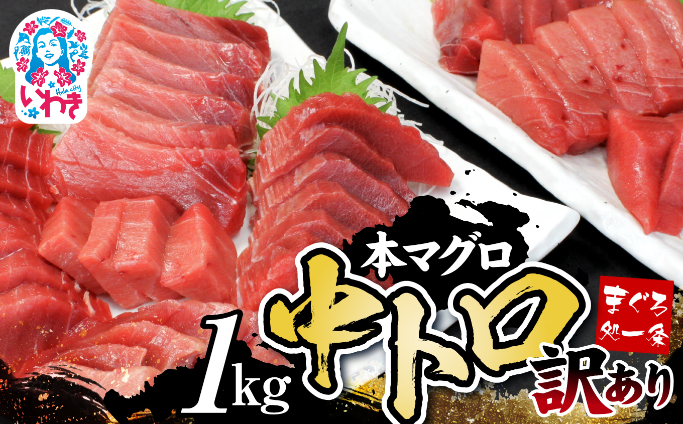 【単品】訳あり まぐろ 1kg マグロ 中トロ  約6から8人前 本まぐろ 解凍レシピ付 鮪 海鮮丼 刺身 寿司 鉄火丼【DG007】|いわき市 ふるさと納税 株式会社東日本貿易 鮪 本鮪 本まぐろ マグロ ト