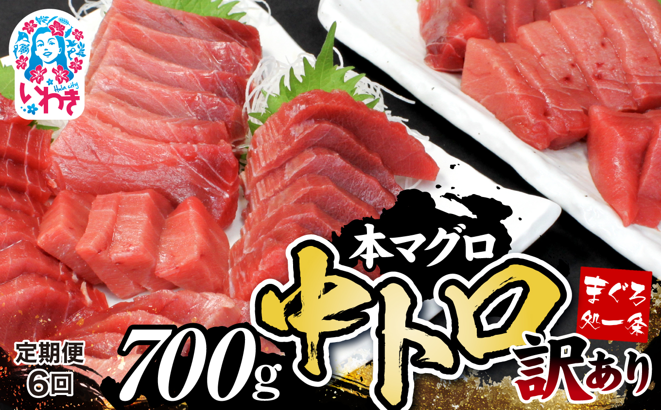【定期便/計6回】本マグロ訳あり中トロ700g(計4.2kg)【DG008-t6】|いわき市 ふるさと納税 株式会社東日本貿易 鮪 本鮪 本まぐろ マグロ トロ とろ 刺し身 さしみ さかな 海鮮 寿司 解凍レシピ