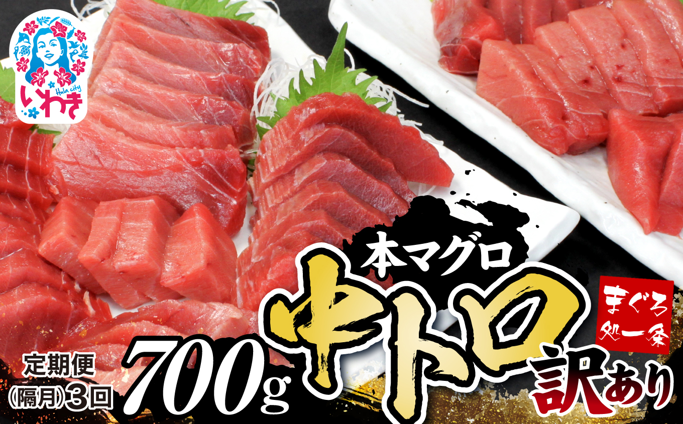 【定期便/隔月/計3回】本マグロ訳あり中トロ700g(計2.1kg)【DG008-tk3】|いわき市 ふるさと納税 株式会社東日本貿易 鮪 本鮪 本まぐろ マグロ トロ とろ 刺し身 さしみ さかな 海鮮 寿司 解凍レ