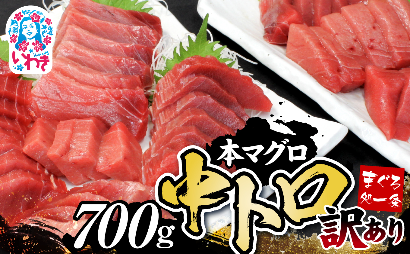【単品】本マグロ訳あり中トロ700g!解凍レシピ付【DG008】|いわき市 ふるさと納税 株式会社東日本貿易 鮪 本鮪 本まぐろ マグロ トロ とろ 刺し身 さしみ さかな 海鮮 寿司 解凍レシピ付福島