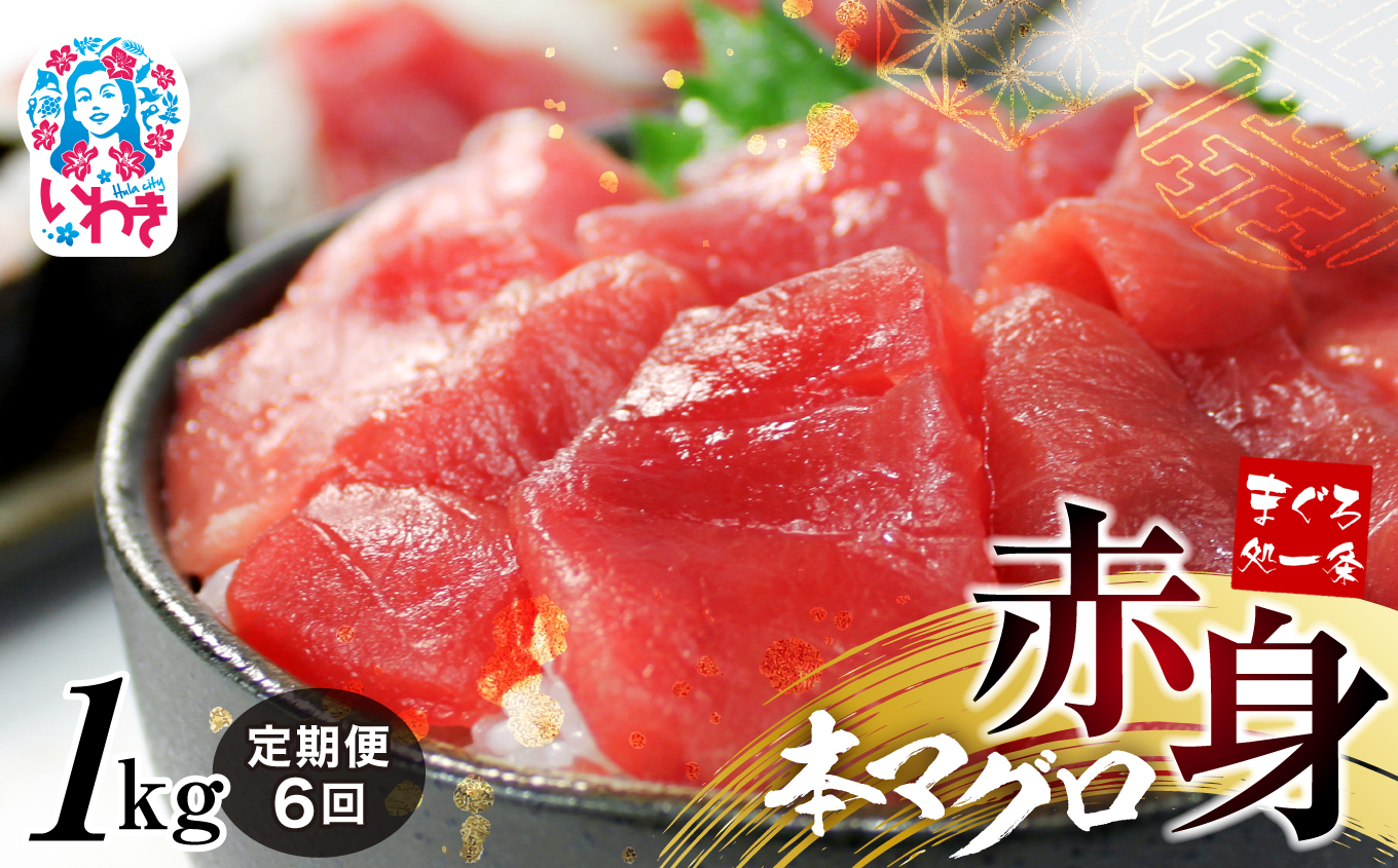 【定期便/計6回】本マグロ赤身1kg(6kg)【DG010-t6】|いわき市 ふるさと納税 株式会社東日本貿易 鮪 本鮪 本まぐろ マグロ 刺し身 さしみ さかな 海鮮 寿司 解凍レシピ付福島県いわき市162000魚
