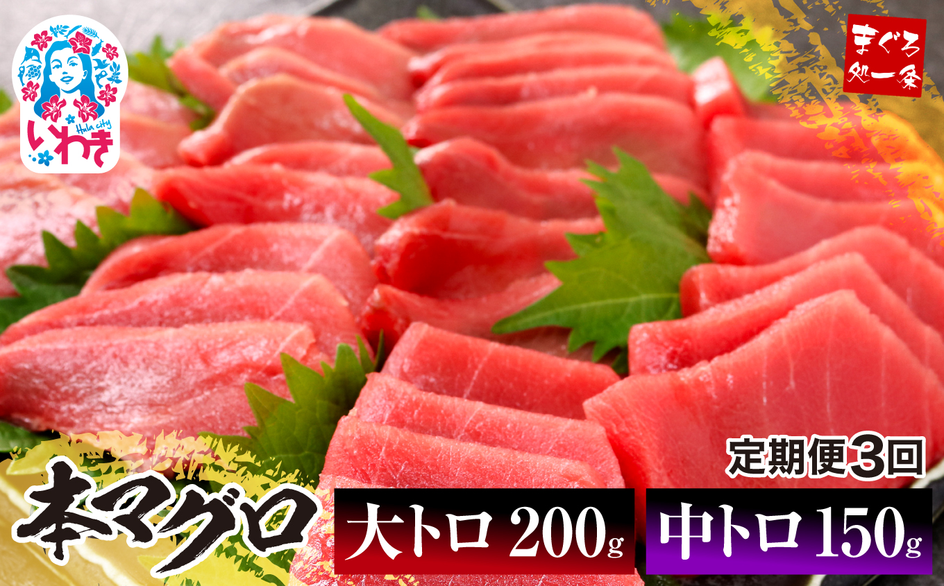 y/v3z{}OggZbg350giv1050gjyDG012-t3z|킫s ӂ邳Ɣ[ Г{f  { {܂ }O g Ƃ g Ƃ hg  