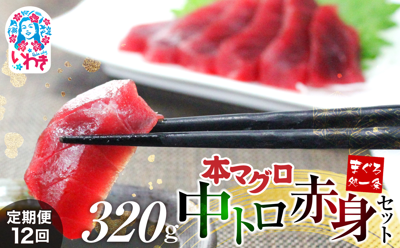 【定期便/計12回】本マグロ中トロ赤身セット320g(計3840g)【DG013-t12】|いわき市 ふるさと納税 株式会社東日本貿易 鮪 本鮪 本まぐろ マグロ 大トロ 大とろ トロ とろ 刺し身 さしみ さかな 海
