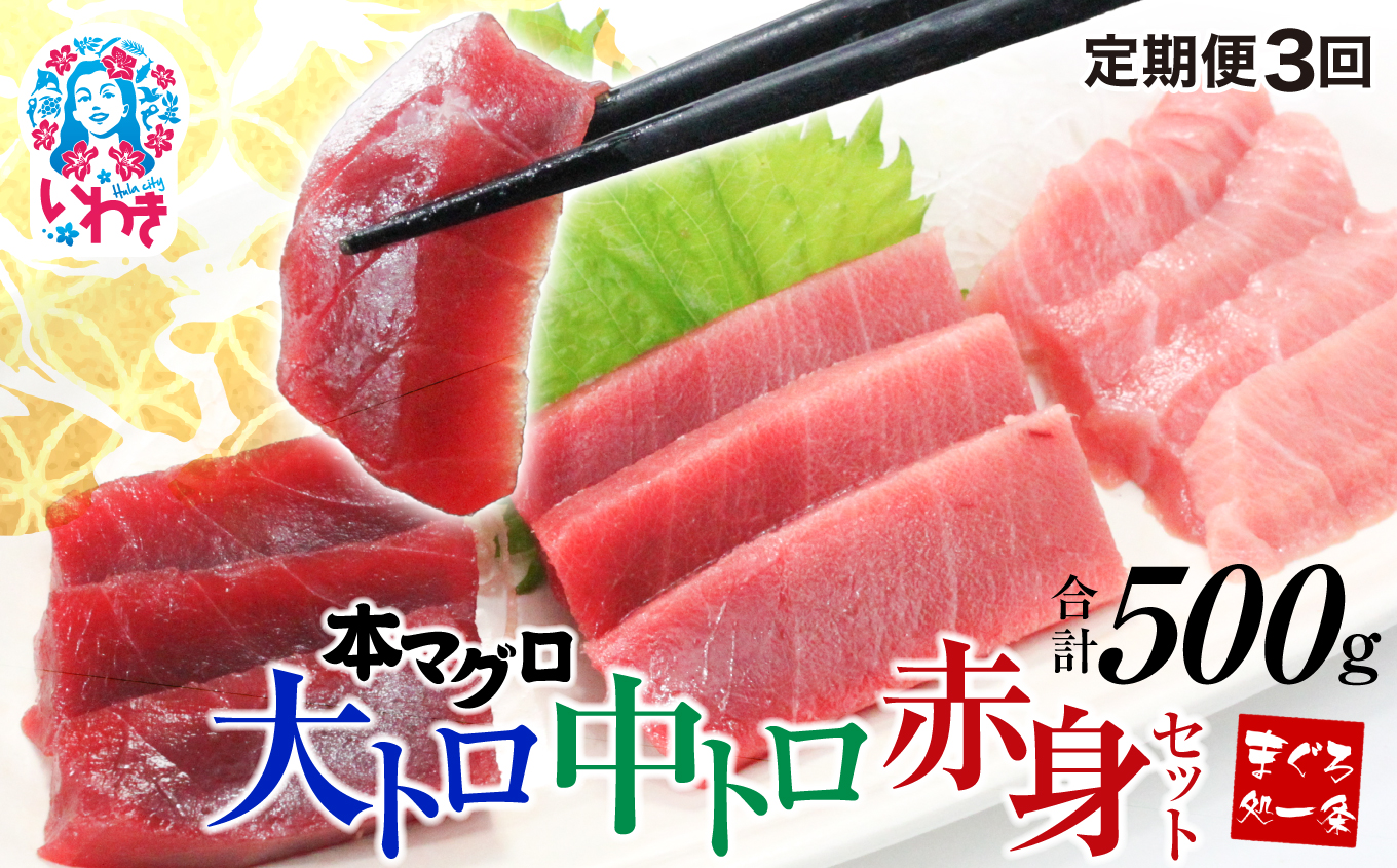 【定期便/隔月/計3回】本マグロ大トロ中トロ赤身セット500g(計1.5kg)【DG014-tk3】|選べる 回数 定期便 解凍レシピ付 1サクずつ 真空包装 | マグロ 鮪 まぐろ トロ 刺身 寿司福島県いわき市6300
