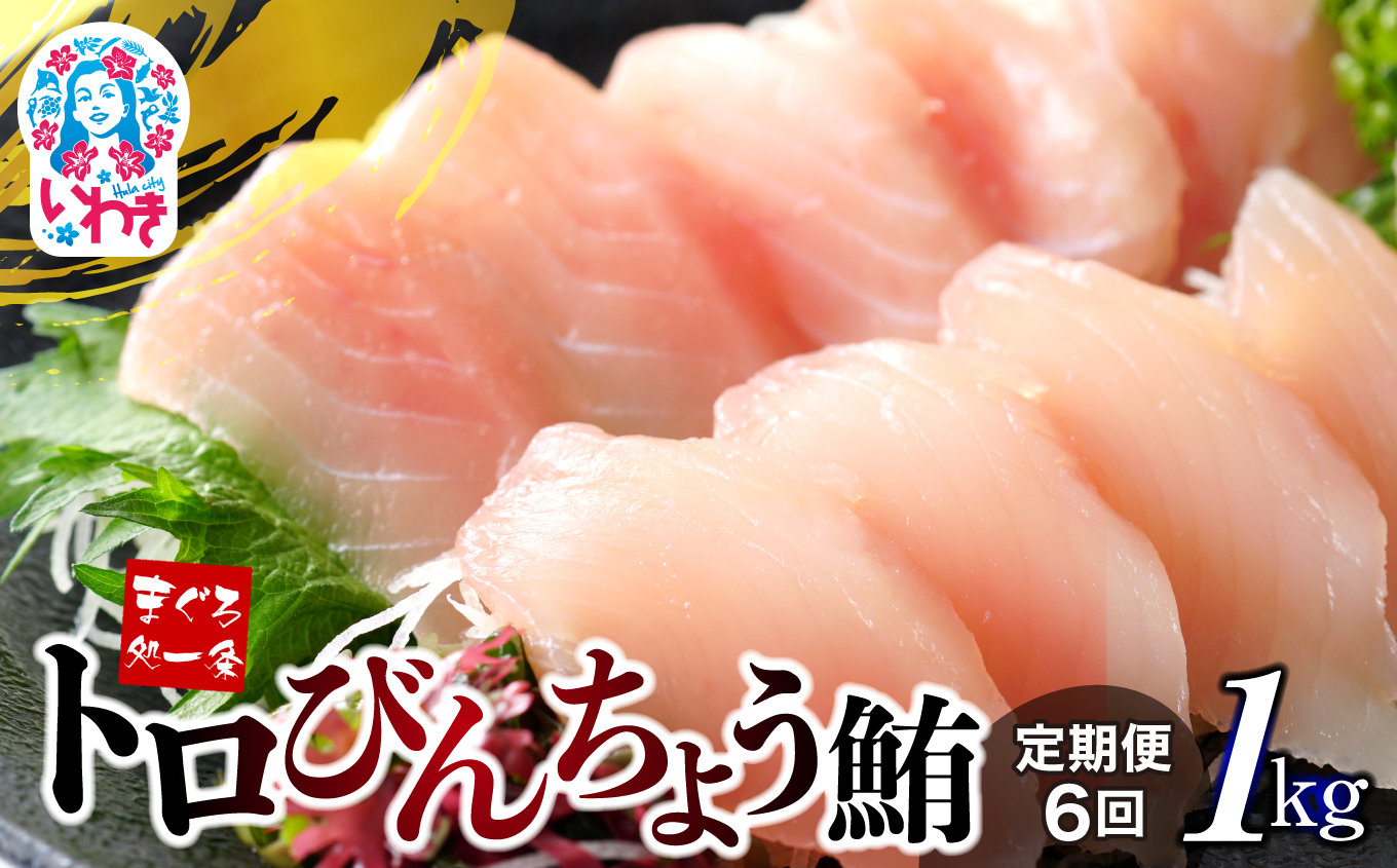 【定期便/計6回】トロびんちょう鮪1kg(500g×2パック)(計6kg)【DG015-t6】|選べる 回数 定期便 | マグロ まぐろ 刺身 ねっとりとした食感の びんトロ! 解凍レシピ付 可食部ほぼ100%福島県
