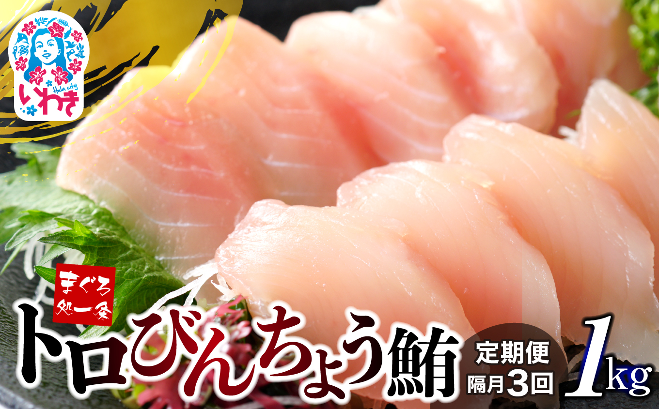 【定期便/隔月/計3回】トロびんちょう鮪1kg(500g×2パック)(計3kg)【DG015-tk3】|選べる 回数 定期便 | マグロ まぐろ 刺身 ねっとりとした食感の びんトロ! 解凍レシピ付 可食部ほぼ100%福