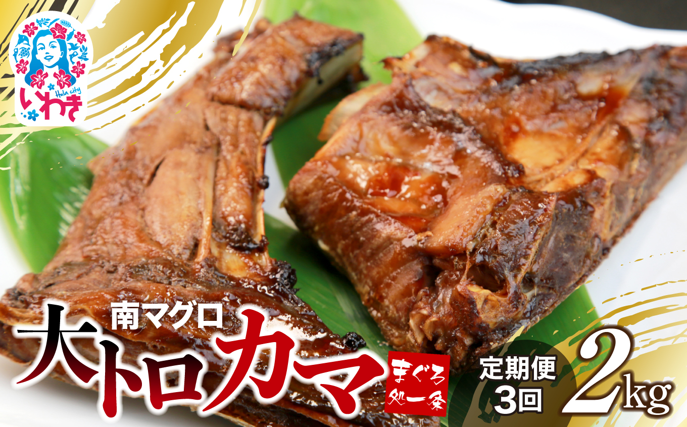 【定期便/計3回】南マグロ大トロカマ2kg(計6kg)【DG016-t3】|加熱用 選べる 回数 定期便 | 冷凍 塩焼き 煮付け まぐろ 鮪 マグロ 焼き魚 高級種 希少部位福島県いわき市39000魚介・海産物