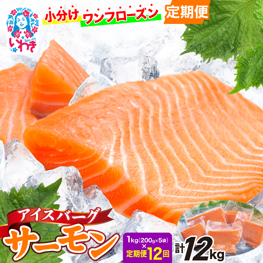 〈定期便12回〉アイスバーグサーモン(アトランティックサーモン) 約1kg(約200g×5袋) | アイスバーグサーモン アトランティックサーモン 産地直送 冷凍 お取り寄せ サーモン 切り身 北