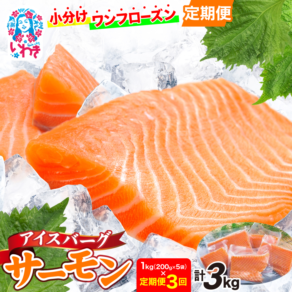 q3rACXo[OT[iAgeBbNT[j@1kgi200g×5܁j | ACXo[OT[ AgeBbNT[ Yn Ⓚ  T[ ؂g k