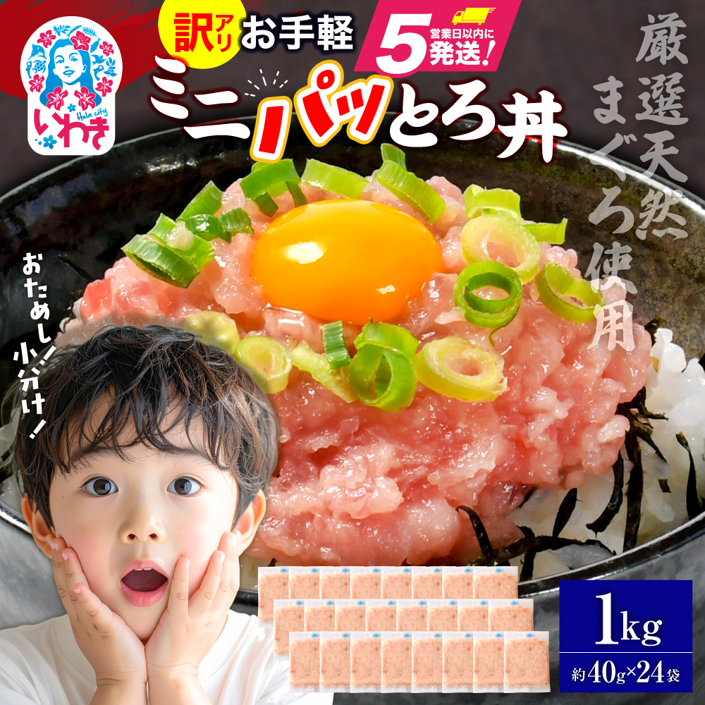 ねぎとろ使い切りパック 約1kg(約40g×24パック)| まぐろ まぐろたたき ねぎとろ マグロ パーティー 使い切りパック 海鮮丼 お寿司 軍艦巻き 福島県 いわき市 1万円 父の日【DK011-1kg】福島