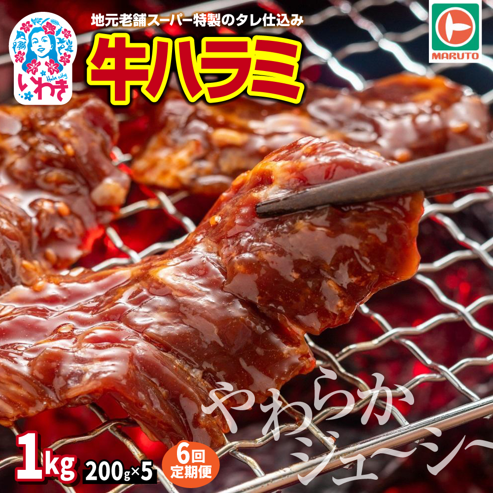 【定期便/計6回】味付き牛ハラミ 1kg(200g×5) 計6kg | 特製タレ 焼くだけ 手作業で加工 焼肉 お取り寄せ バーベキュー ふるさと納税はらみ ふるさと納税ハラミ 柔らかい やわらかい 父の日 |