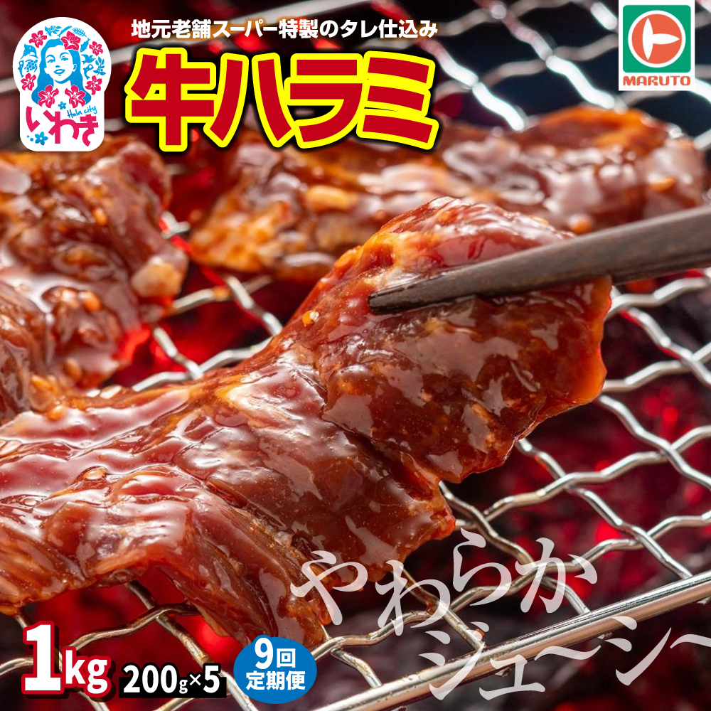 【定期便/計9回】味付き牛ハラミ 1kg(200g×5) 計9kg | 特製タレ 焼くだけ 手作業で加工 焼肉 お取り寄せ バーベキュー ふるさと納税はらみ ふるさと納税ハラミ 柔らかい やわらかい 父の日 |