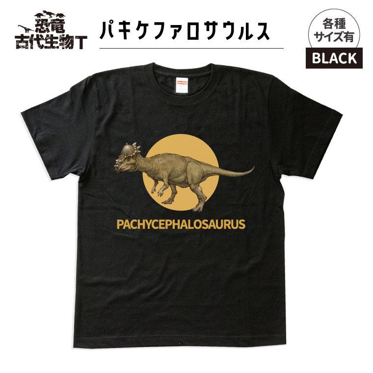 ふるさと納税 服 福島県 いわき市 恐竜・古代生物Tシャツ　ティラノサウルス 033　サイズＬ（レギュラー） ブラック　サイズＬ 楽天市場】【ふるさと納税】恐竜・古代生物Tシャツ