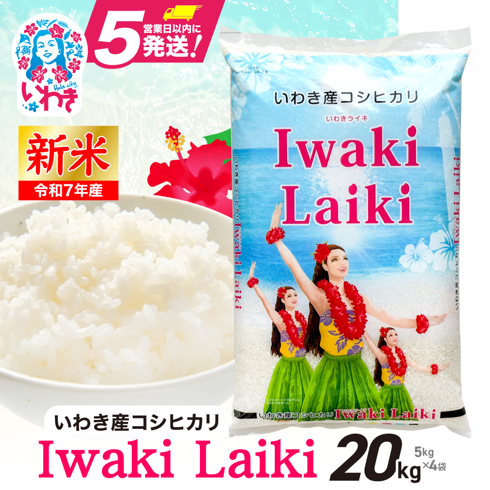 Iwaki Laiki 킫YRVqJ20kgi5kg×4܁j | IwakiLaiki 킫Y RVqJ 20kg V Yn uh 㔒 ꓙ ~lLx  | ӂ ˂΂ Â H Mtg p 
