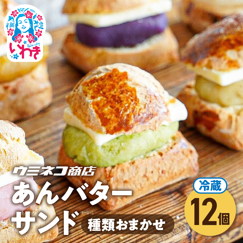 o^[Th 12Zbg | o^[Th  o^[Th amَq XC[c  lߍ킹  Mtg v[g fU[g َq p | US003-12s킫