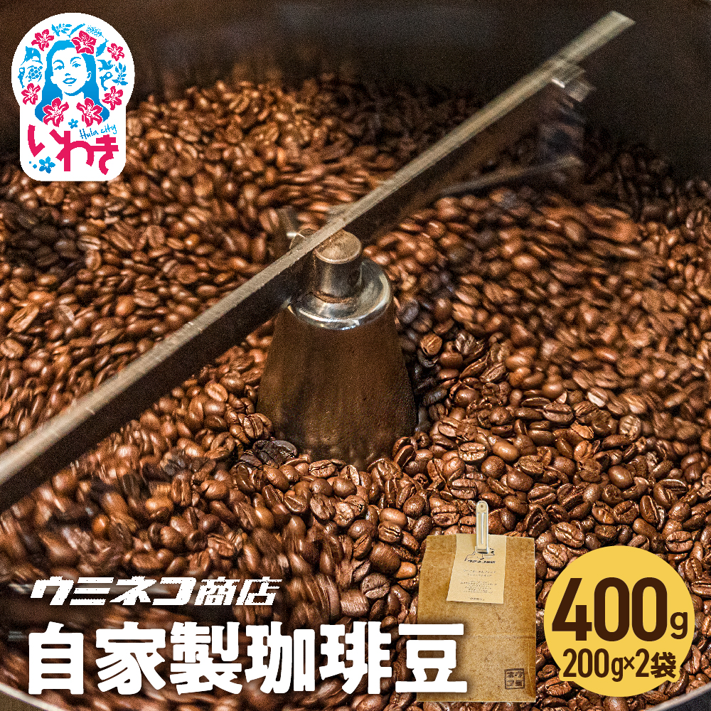 【自家焙煎珈琲豆】でーじまーさんブレンド 200g×2p | 自家焙煎珈琲豆 でーじまーさんブレンド 珈琲 コーヒー豆 ブレンドコーヒー 香り豊か 深煎り 中煎り お取り寄せ グルメ 大容量 ギフ