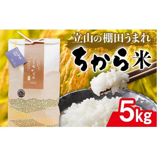 立山のちから米 コシヒカリ 5kg こしひかり 銘柄米 ブランド米 国産 米 お米 日本米 ギフト 贈り物 備蓄 防災 食品 F6T-536富山県立山町27000米・パン白米