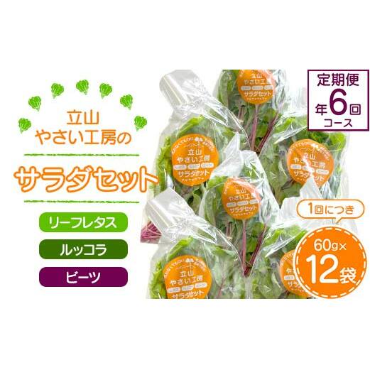 立山やさい工房のサラダセット(60g×12袋)の定期便年6回コース 富山県 立山町 F6T-251富山県立山町96000野菜・きのこその他 野菜