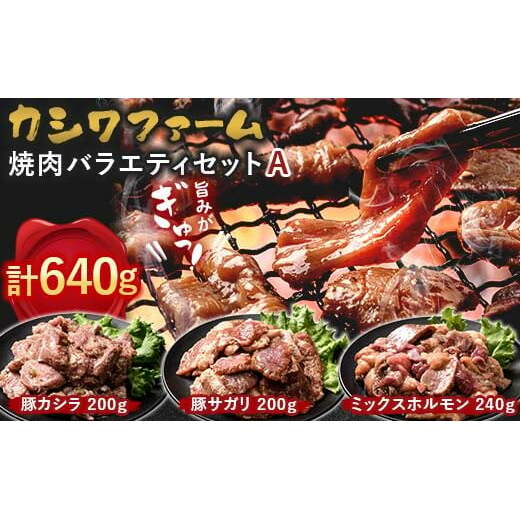 カシワファーム 焼肉バラエティセットA 立山放牧牛 ホルモン 豚 豚肉 焼肉 おかず 時短 冷凍 富山県 立山町 お歳暮 お中元 F6T-446富山県立山町16000肉牛肉