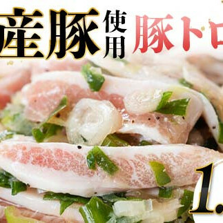 国産豚使用!豚トロ塩だれ 1,200g 国産豚 食感 脂身 秘伝 しおだれ フライパン ホットプレート 手軽 家庭 贅沢 お酒 つまみ おかず パーティー ジューシー 香ばしい お歳暮 お中元 F6T-572富山県