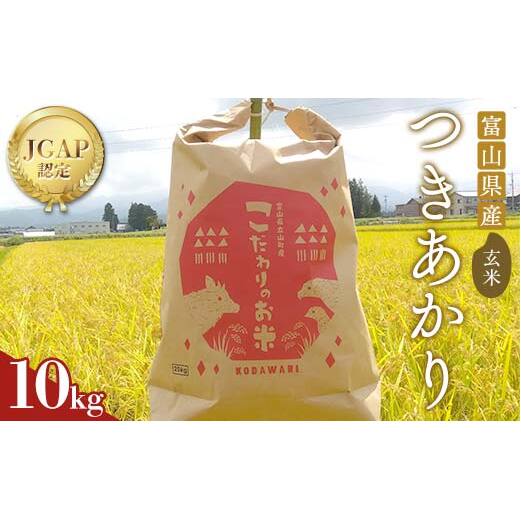 《数量限定》令和7年度産 つきあかり 玄米 10kg 米 お米 新米 ごはん おにぎり 富山 立山 北アルプス 健康志向 JGAP認定 F6T-845富山県立山町29000米・パン玄米・雑穀米・もち米・餅