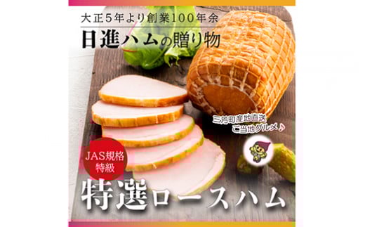 【口の中でお肉がとける贅沢な食感】日進ハム 特選ロースハム 300g ※離島への配送不可 豚ロース肉 NISSIN おかず おつまみ 手土産 FAA-153埼玉県三芳町11000肉加工肉(ハム・ソーセージ等)