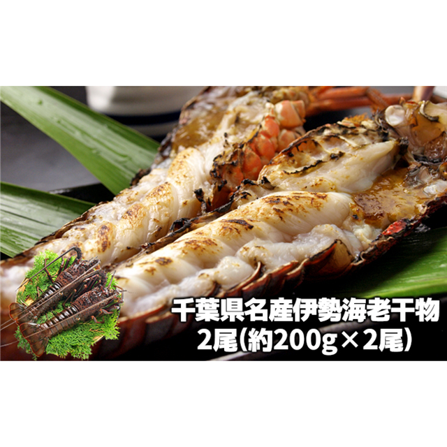 ɐCV̊ 200g×2t16000ECYGr