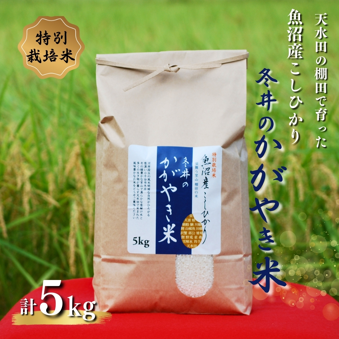 yʌzyߘa7NYz ʍ͔| YRVqJu~̂₫āv 5kg(5kg×1) AXJ~ y0002-0149-02zVJs16000āEp