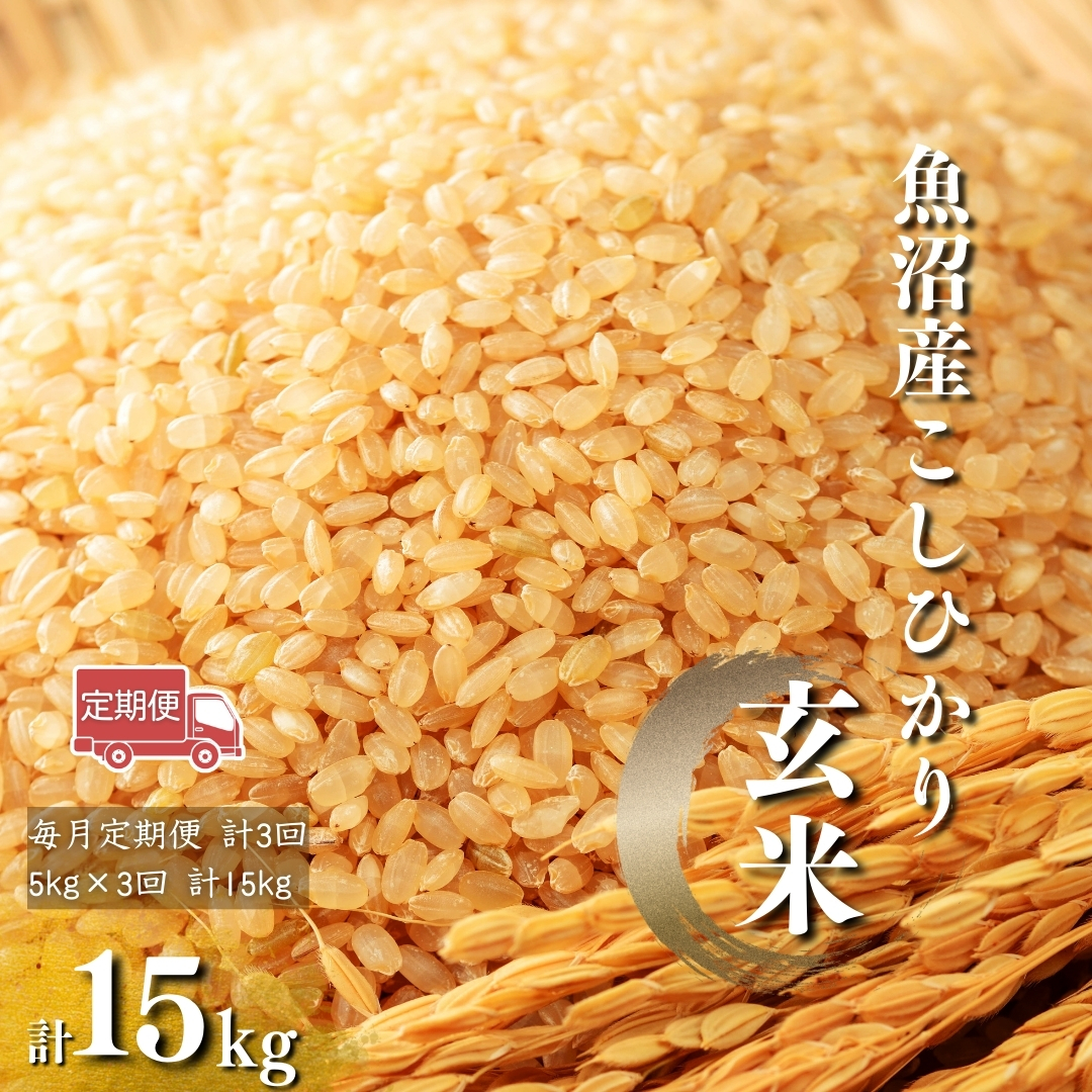 【玄米 選別品】令和7年産 魚沼産コシヒカリ 玄米 定期便5kg×3回 (毎月お届け)米太 | 新潟県産 コシヒカリ お米 米 おこめ こめ コメ こしひかり 魚沼産 ブランド米【0020-KT07DB00-02】新潟県