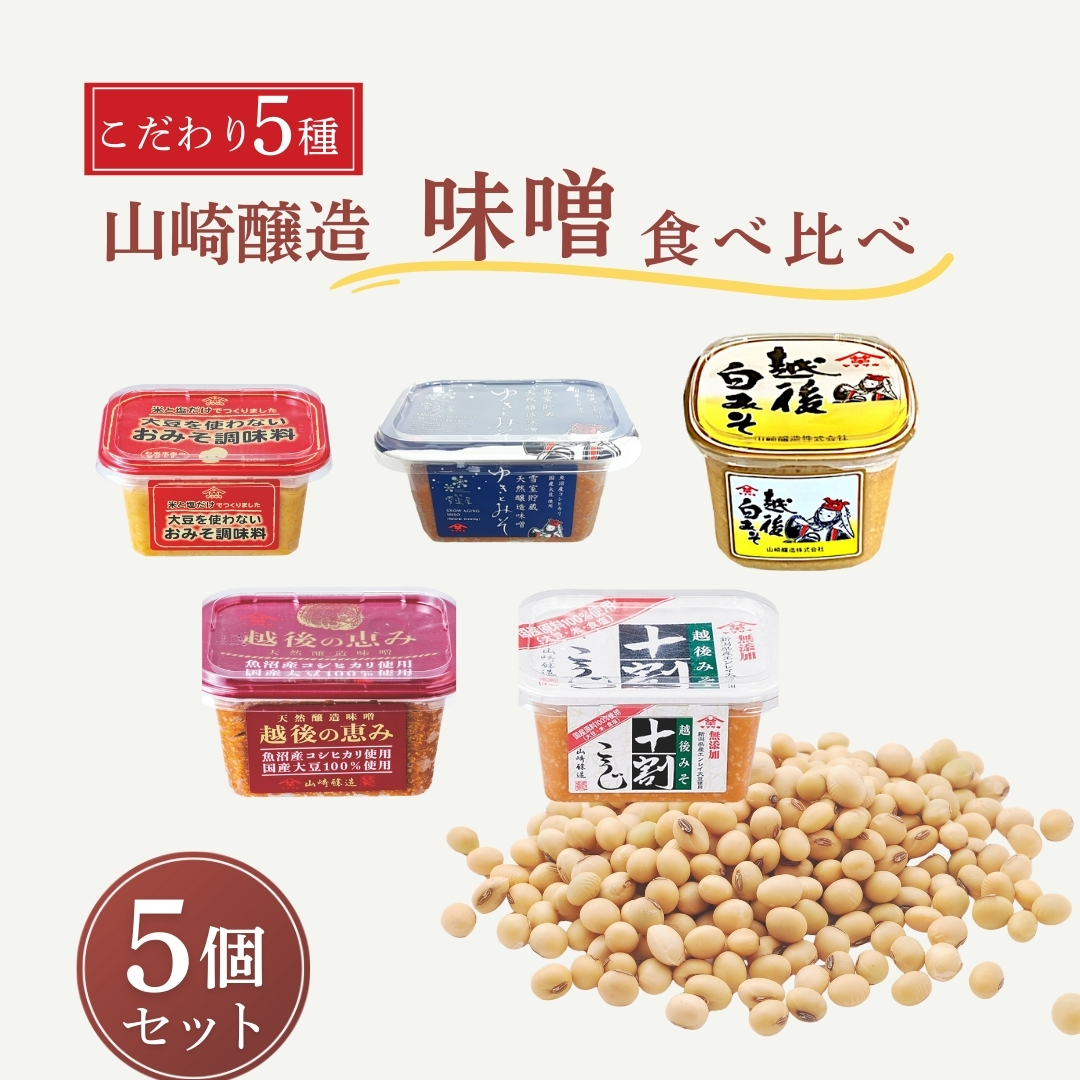 山崎醸造 味噌 こだわり5種類食べ比べセット みそ 調味料 山崎醸造 【0002-0232-02】新潟県小千谷市12000調味料・油味噌