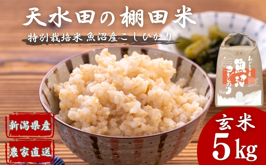 【令和7年産 新米予約】 わかとち産 魚沼コシヒカリ特別栽培 棚田米 玄米5kg 新潟県 小千谷市 先行予約【0013-0002-01】新潟県小千谷市19000米・パン玄米・雑穀米・もち米・餅