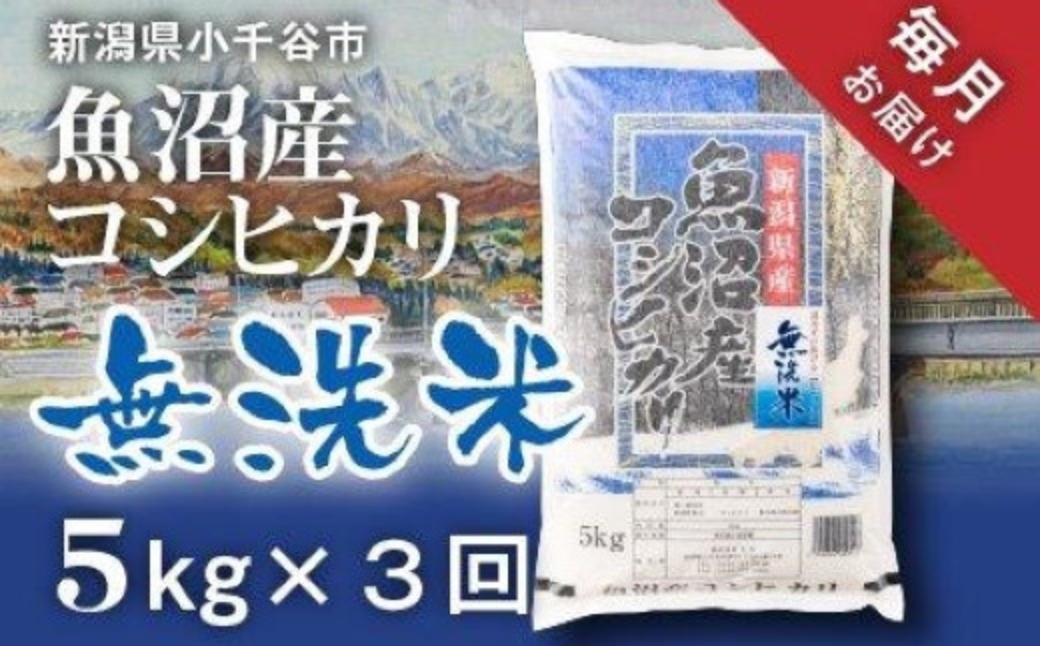 令和7年産 魚沼産コシヒカリ 無洗米 定期便5kg×3回 (毎月お届け)米太 | 新潟県産 コシヒカリ お米 米 おこめ こめ コメ 精米 白米 こしひかり 魚沼産 ブランド米【0020-KT02DB00-02】新潟県小千