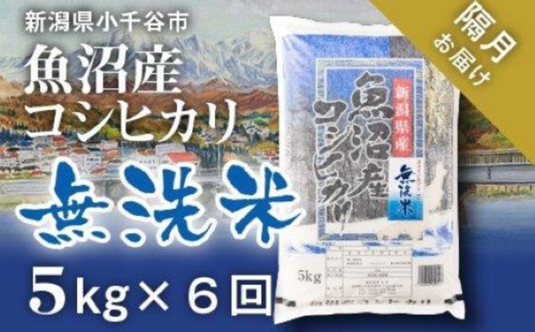 令和7年産 魚沼産コシヒカリ 無洗米 定期便5kg×6回 (隔月お届け)米太 | 新潟県産 コシヒカリ お米 米 おこめ こめ コメ 精米 白米 こしひかり 魚沼産 ブランド米【0020-KT05DB00-02】新潟県小千