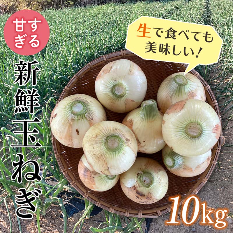<2026年発送 先行予約>甘すぎる新鮮玉ねぎ 10kg(2026年6月1日〜6月25日頃出荷) 減農薬減 化学肥料 生食 たまねぎ 玉ねぎ タマネギ 野菜 食品 F21E-111群馬県富岡市6000野菜・きのこ玉ねぎ・ね