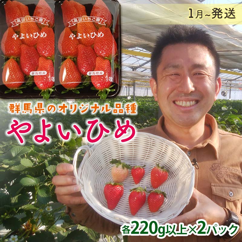 群馬県産いちごセット<やよいひめ2パック>【2026年1月4日〜3月31日発送】(各220g以上×2パック) いちご やよいひめ 群馬県産 オリジナル品種 苺 イチゴ セット 詰合せ 果物 フルーツ 食品 F21E-