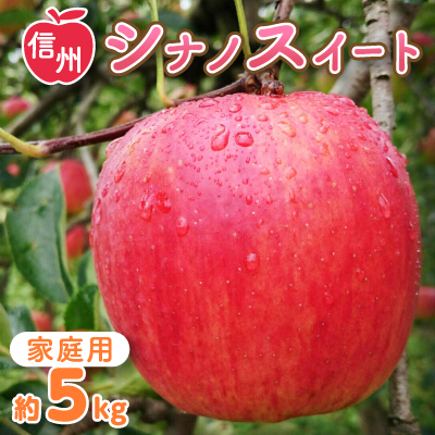 〈信州中野まつじるし農園〉シナノスイート家庭用 約5kg【1206440】長野県中野市10000果物・フルーツりんご・梨