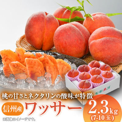 信州産ワッサー2.3kg【配送不可地域:離島】【1232140】長野県中野市11000果物・フルーツもも・すもも