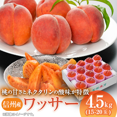 信州産ワッサー4.5kg【配送不可地域:離島】【1232141】長野県中野市17000果物・フルーツもも・すもも