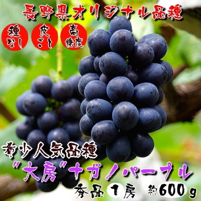 厳選!濃厚大房ナガノパープル 秀品 1房(約600g)【配送不可地域:離島】【1234909】長野県中野市14000果物・フルーツマスカット・ぶどう