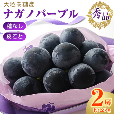 厳選!濃厚大房ナガノパープル 秀品 2房(約1.2kg)【配送不可地域:離島】【1234911】長野県中野市19000果物・フルーツマスカット・ぶどう