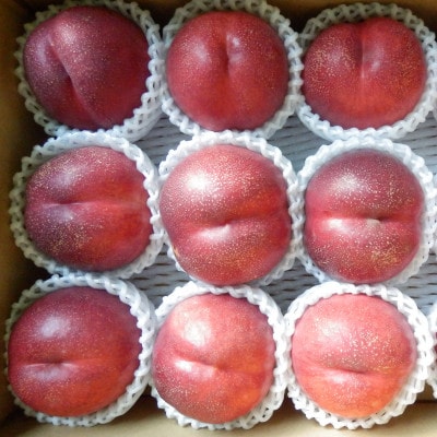 長野県中野市産スイートネクタリン 2kg(7〜12玉)【配送不可地域:離島】【1295094】長野県中野市13000果物・フルーツもも・すもも