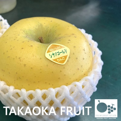 「産地より信州中野の旬をお届け」 シナノゴールド 贈答用 約5kg【1306661】長野県中野市18000果物・フルーツりんご・梨